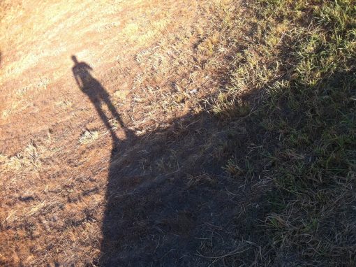 Come Out of the Shadows to be an Emotionally Healthy Leader Come Out of the Shadows to be an Emotionally Healthy Leader