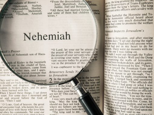 The Emotional Intelligence of Nehemiah: Why the Best Leaders Weep Before They Build The Emotional Intelligence of Nehemiah: Why the Best Leaders Weep Before They Build